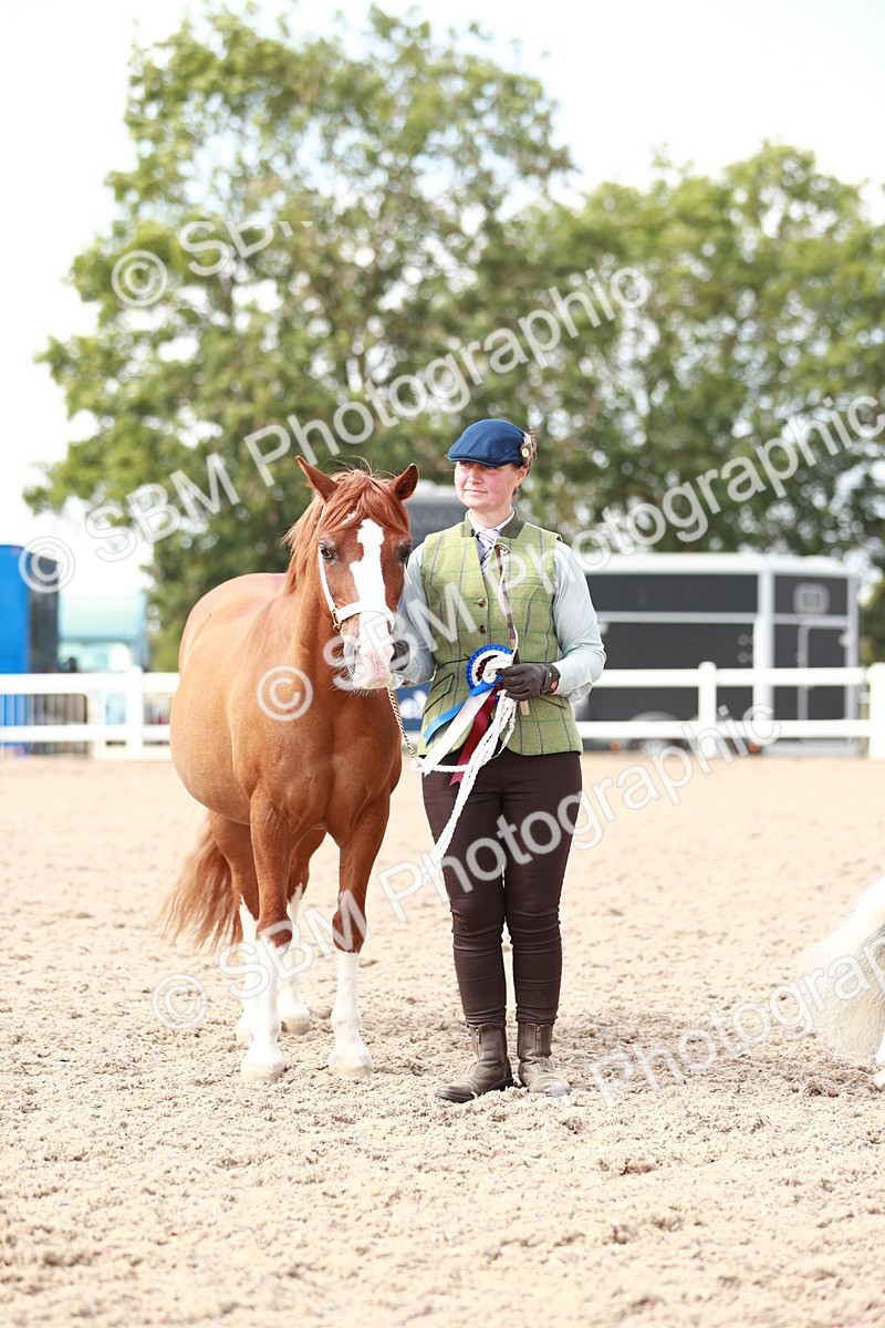 SBM_13948 - Class 209 IH Veteran Pony