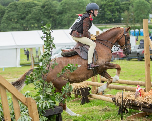 Dunblane show-264 - Dunblane and Doune Show Ring 1