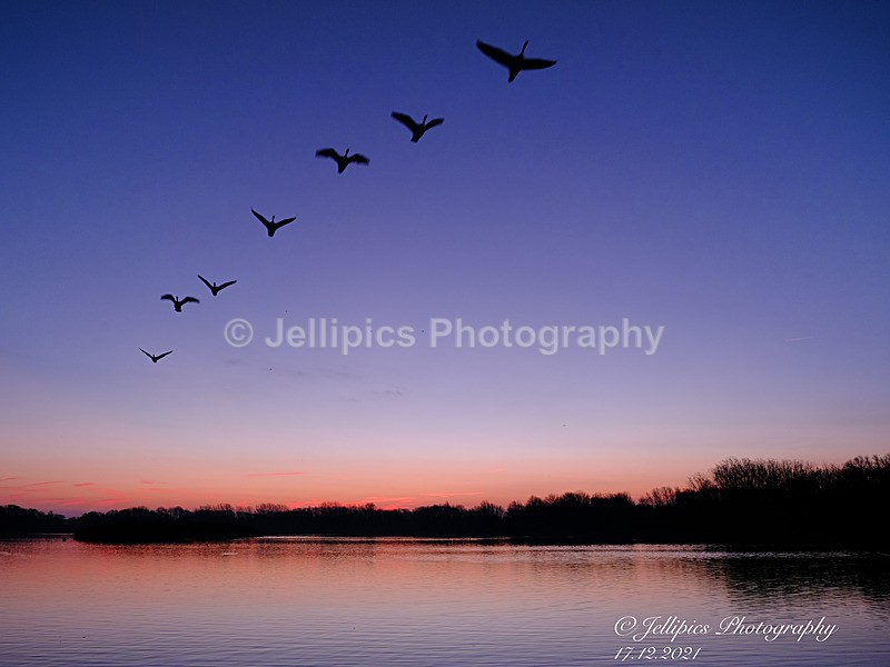  - Landscapes