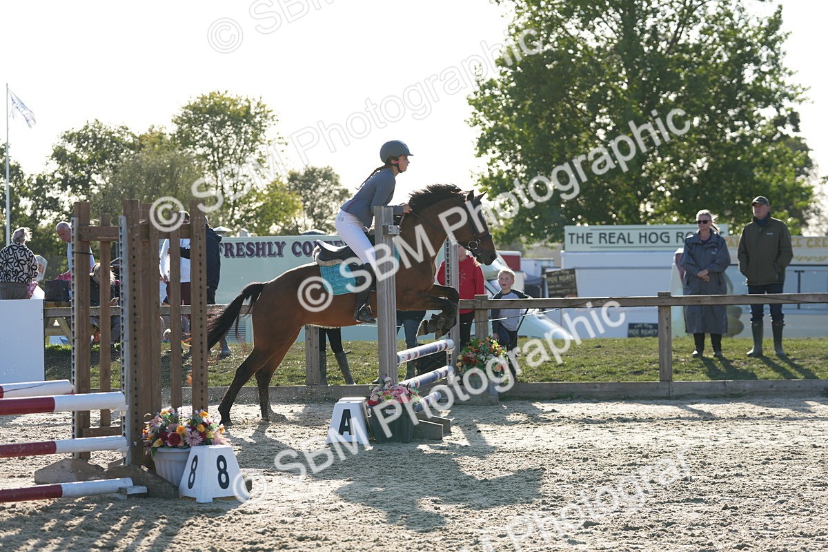 SBM_53700 - J8 - Junior Pony 65cm Championship