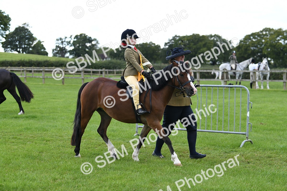SBM_42721 - S20 - Lead Rein Mountain & Moorland Pony