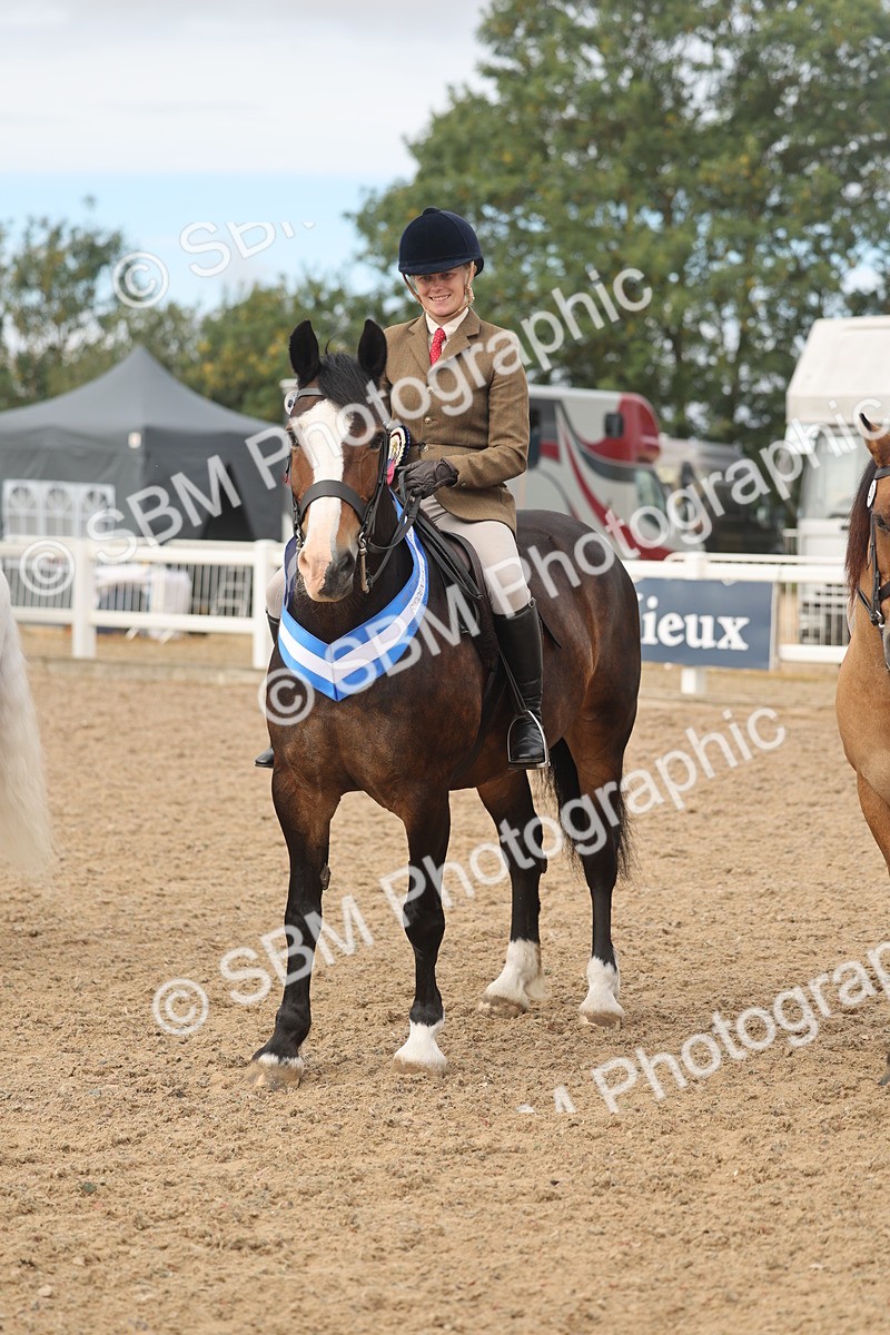 SBM_02029 - Class 14 - Ridden M&M Wildcard