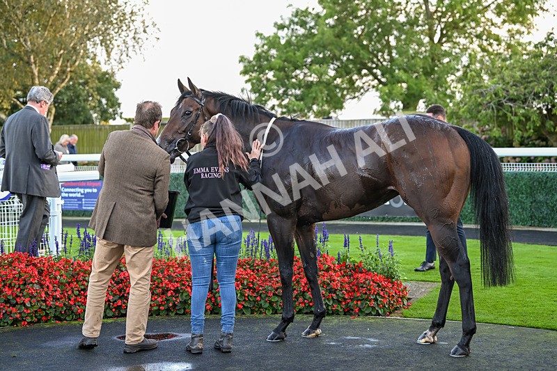 240924-Race 8-Claxton Bay-7217 - Race 8