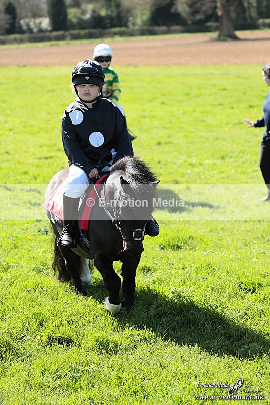 Shet 060426 368 - Shetland Pony Racing Paxford Races Easter Mon 06/04/26