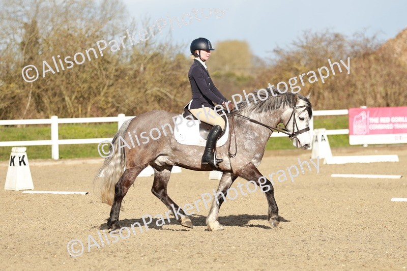 20260314-5410 - DR4 - Prelim 2