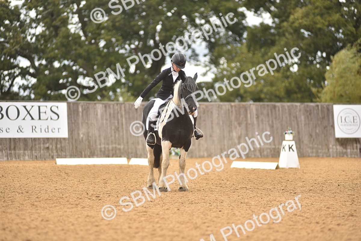 SBM_42551 - D22 - Junior Championship Intro 3