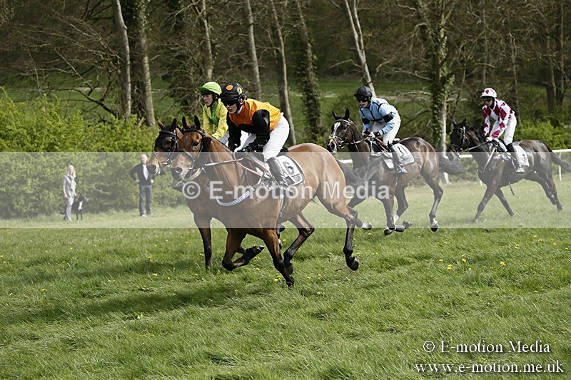 PtP 170417 299 - Old Berks Point-to-Point Lockinge 17/04/17