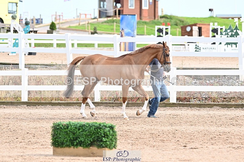 240717A-165421-03535 - Trot Up 4pm to 5pm