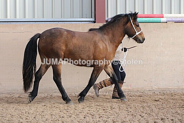 SIAL9405 - Indoor Classes