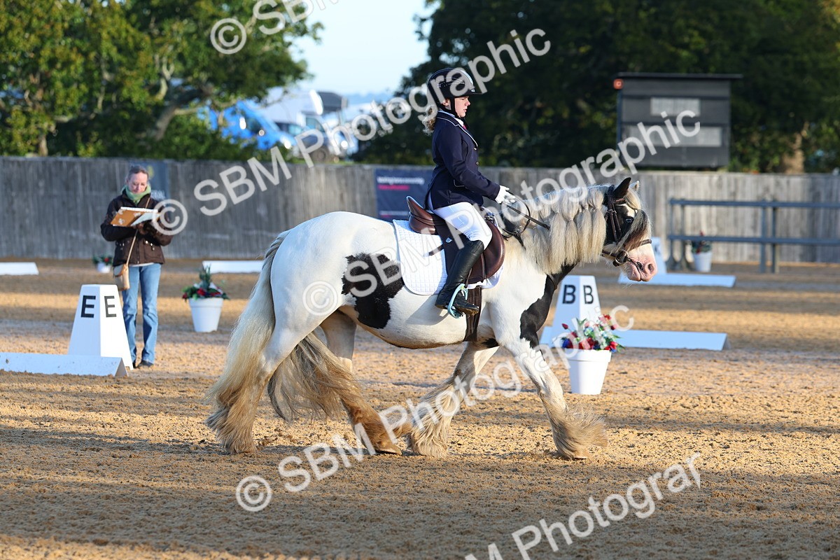 SBM_33433 - D26 - Test Starter Test 1