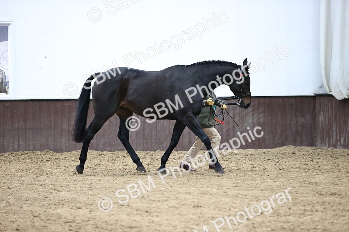 SBM_5818 - Class 4 - ROR Open In Hand