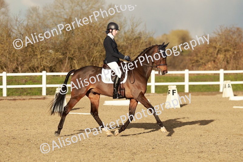 20260314-6364 - CT7 - Elementary 2