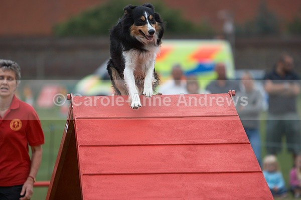 - Tendring Agility Group- St Osyth Summer Fete