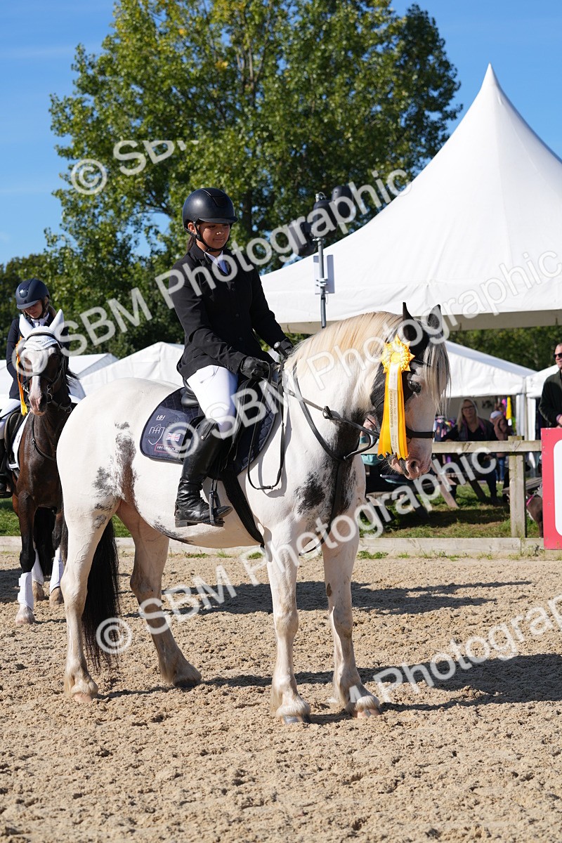 SBM_36248 - J 20 - Junior Horse 50cm Championship