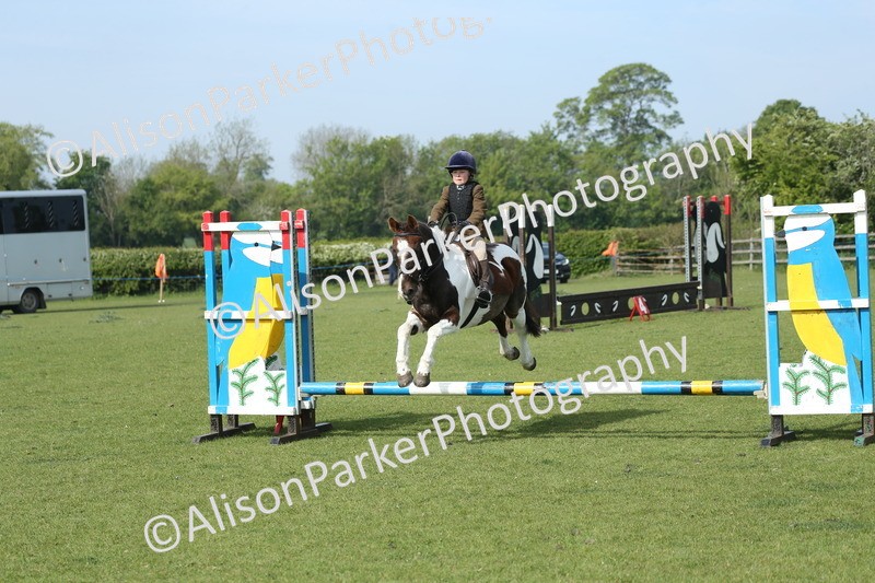 20260426-0232 - Class 13 - Rookie Jumping 50cm