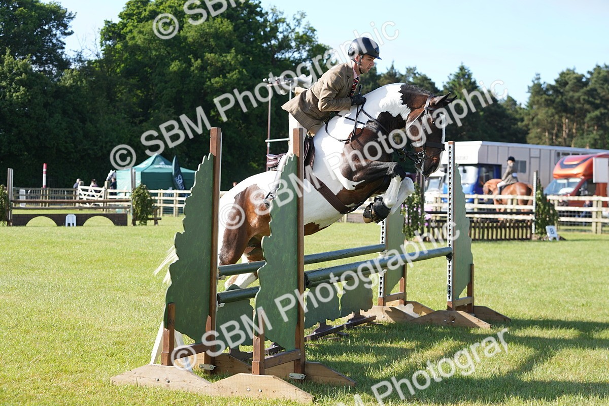 SBM_10535 - Class 97-98 - LIHS BSHA Rising Star Working Show Horse Hunter