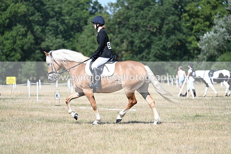 WJ7_0327 - Time 11:33 to 11:44