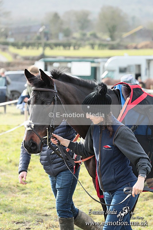 PtP 220225 396 - Kimblewick Point-to-Point  Kingston Blount 22/02/25