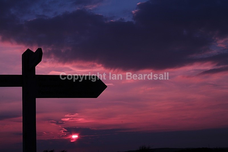 IMG_4318 - Essex