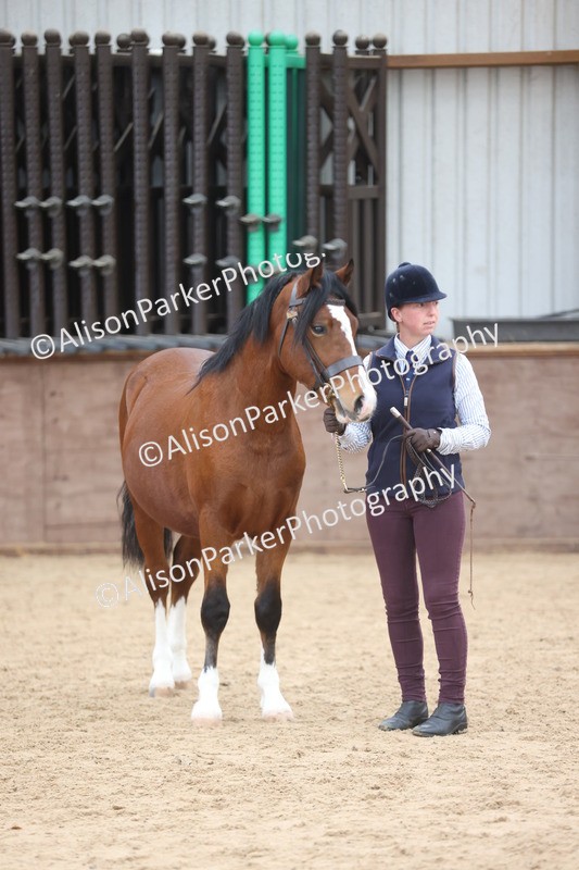 20251109-0961 - Class 26 - 2 and 4 Year Olds