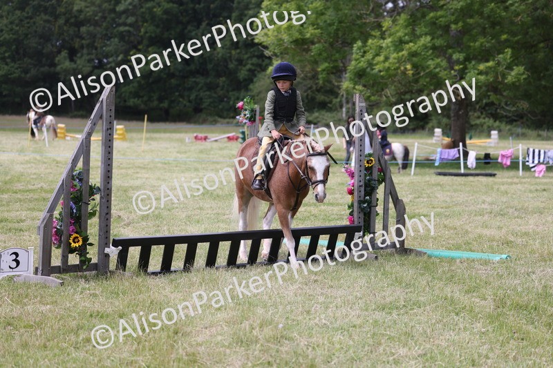 20260614-2036 - Class 21 - Novice Working Hunter Pony