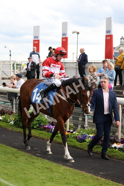 yr22052022r5-11 - Race 5: 5:35pm Sky Bet Sunday Series Sprint