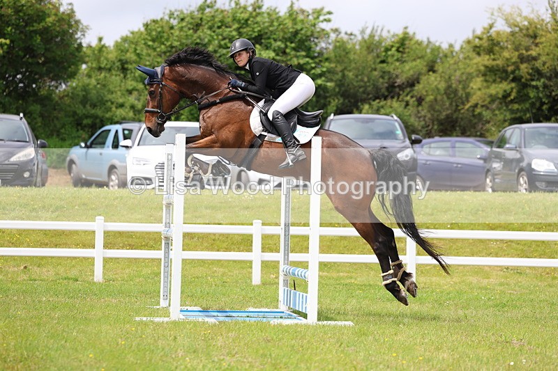 3E7A7112 - Class 12: Senior Foxhunter/1.20 open