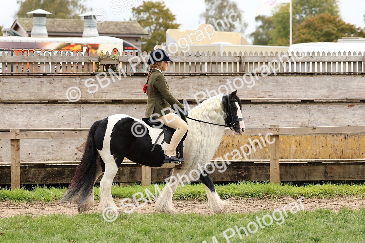 SBM_64359 - S58 - Coloured Pony Ridden
