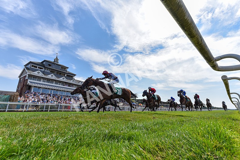 160726-Race 4-Park Lane Penny-3394 - Race 4 15.38pm Don't Miss Summer Family Days @thirskraces Classified Stakes