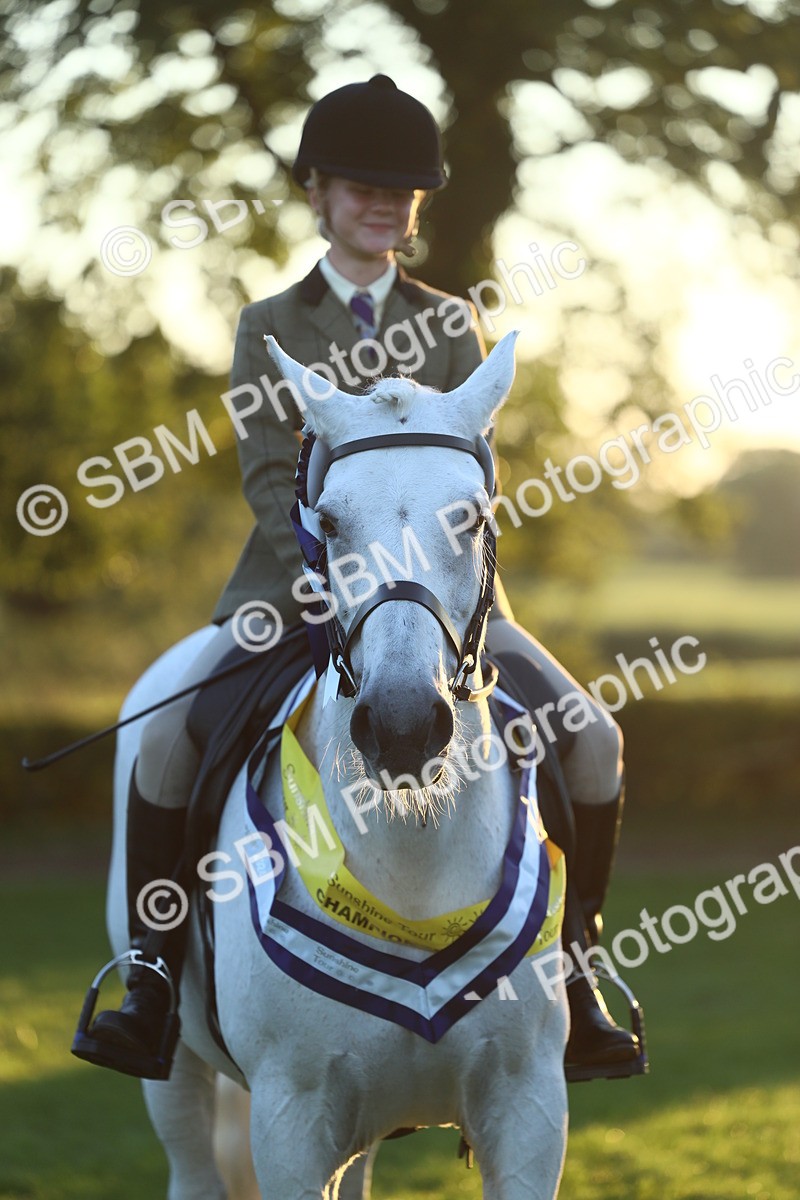 SBM_56672 - Fun & Versatile Supreme Championship