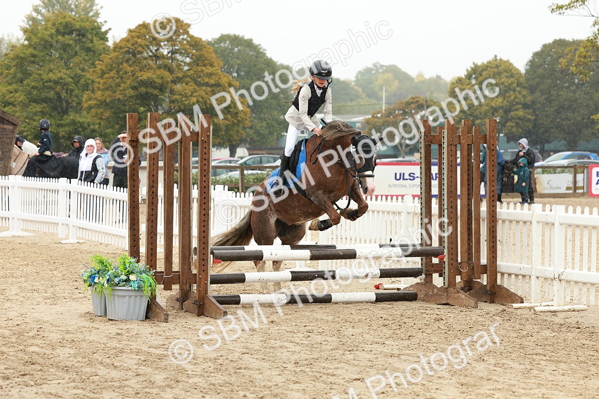 SBM_69352 - J13 - Junior Pony 60cm Championship