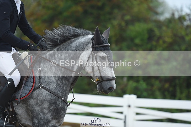 230916A-105912-03580 - Cls 21 British Novice & 90cm Open