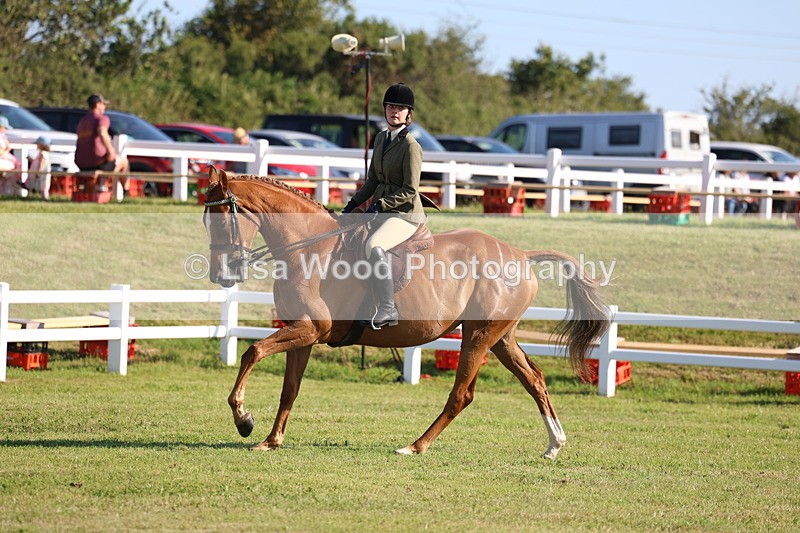3E7A5415 - Class 2: Rising Star Large Hack/Riding Horse