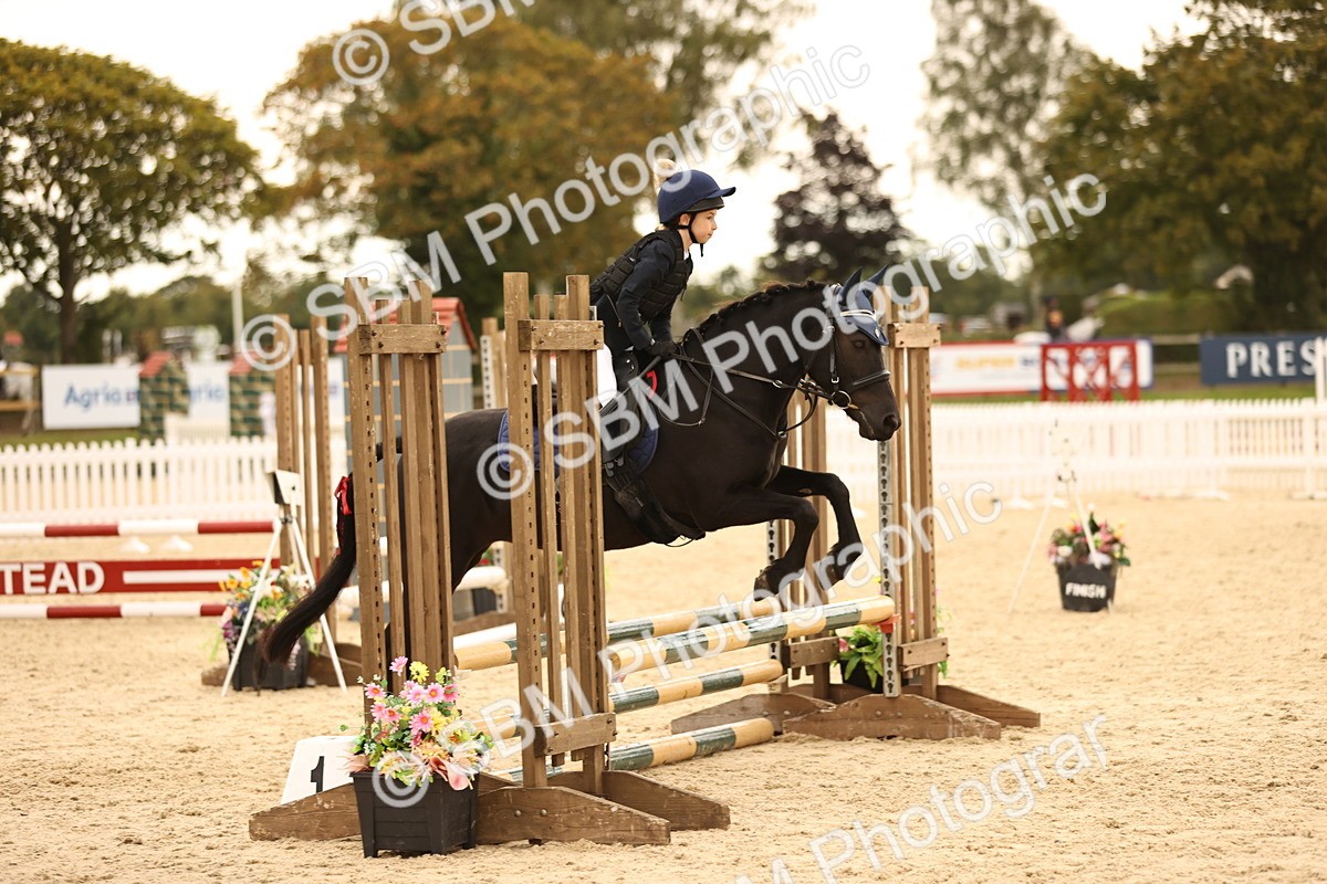 SBM_74163 - J14 - Junior Pony 65cm Championship
