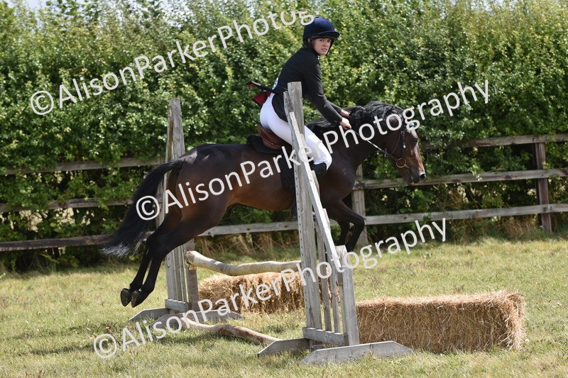 20250831-4029 - Class 12 - Working Hunter Pony 14.2hh and Under