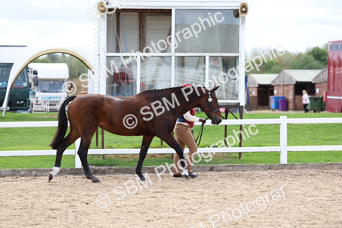SBM_03898 - Class 25 - IH Foreign Breeds - Pure Bred