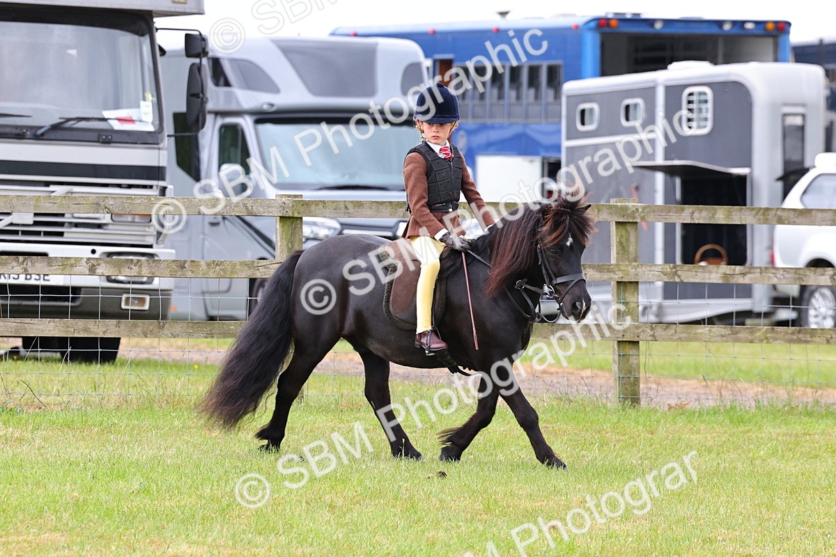 SBM_08670 - Class 42-43 - LIHS BSPS Heritage Working Sports Pony