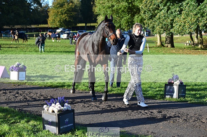231022-092248-21743 - 645-COOLEY.CORPELLO-Francesca.Swallow-TrotUp+SJ