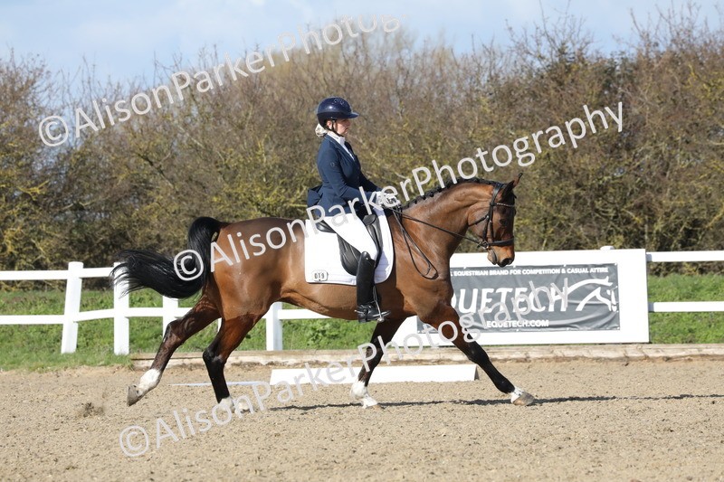 20260314-4939 - CT6 - Elementary 1