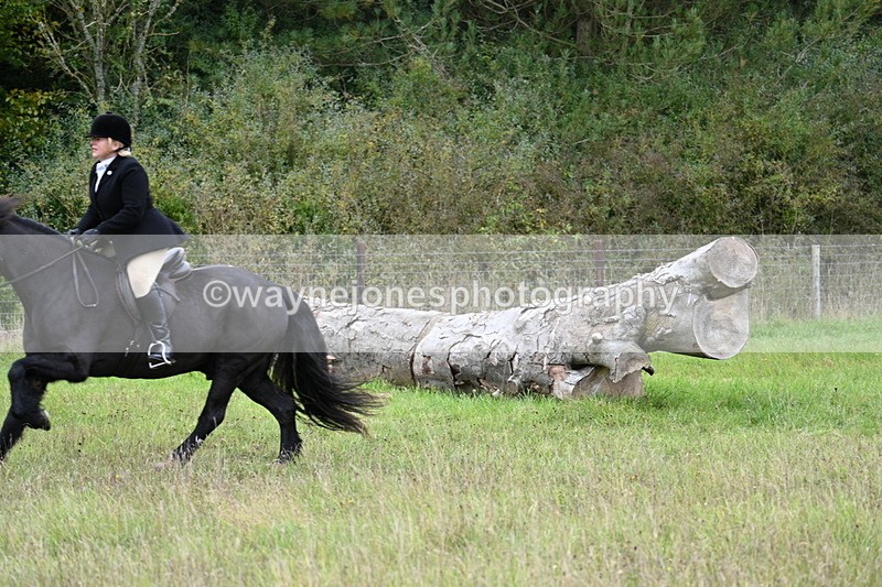 WJ7_3809 - Camera 1 Line 1