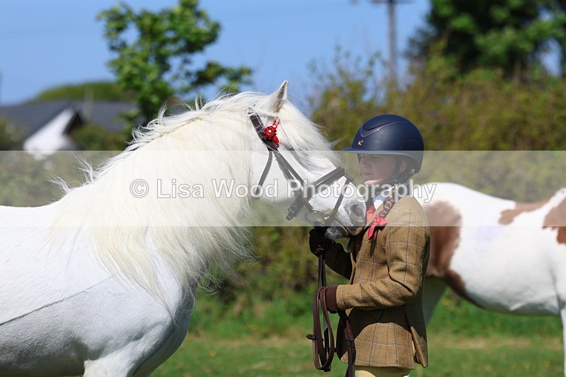 3E7A9896 - Class 17: Young Handler