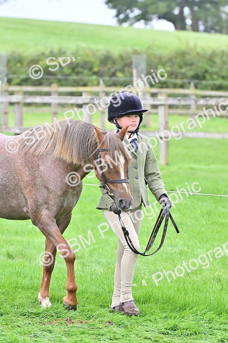 SBM_60914 - S48 - Mountain & Moorland In Hand Small Breeds