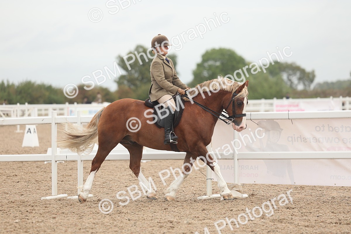 SBM_01858 - Class 14 - Ridden M&M Wildcard