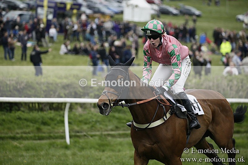 PtP 170417 570 - Old Berks Point-to-Point Lockinge 17/04/17