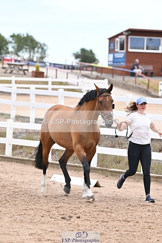 250716-140538-00906 - Trot Up 1.30 to 2.30