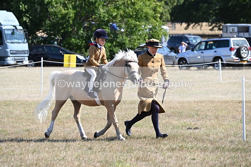 WJ6_7740 - Class 36 Lead Rein