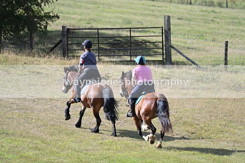 WJ7_3788 - Time 10:33 to 10:53