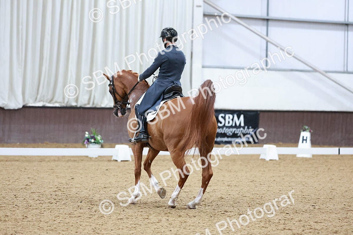 SBM_021511 - Class 14 - FEI Grand Prix - 18.52-19.37