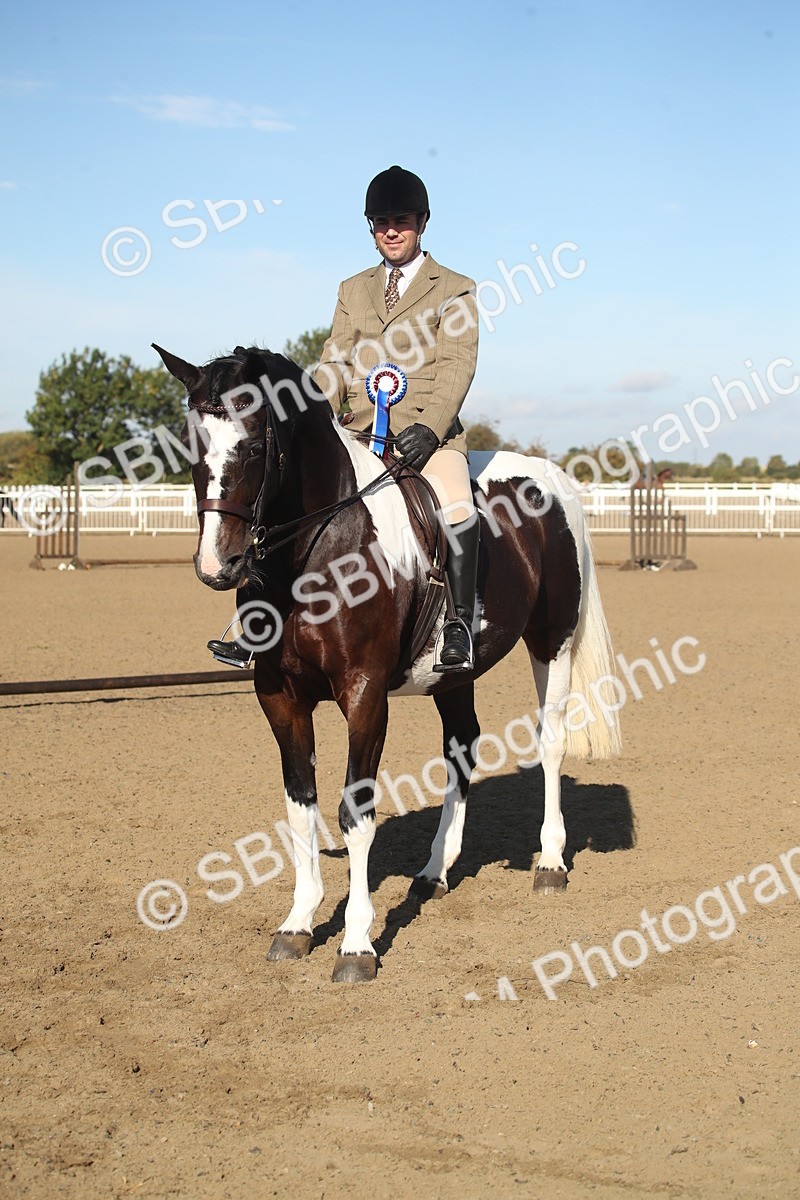 SBM_11347 - Class 501 -Riding Club Pony