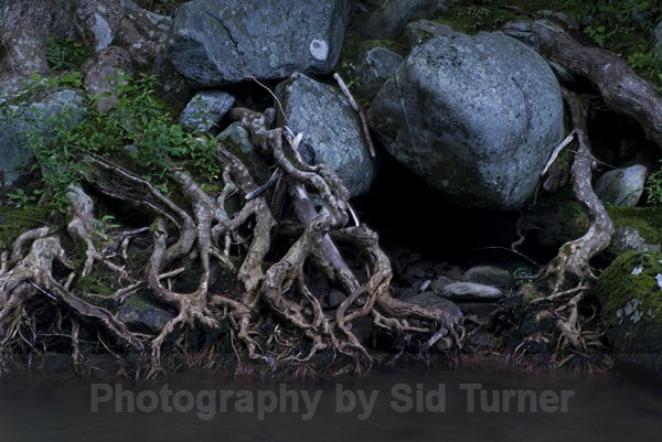  - Waterfalls and Streams